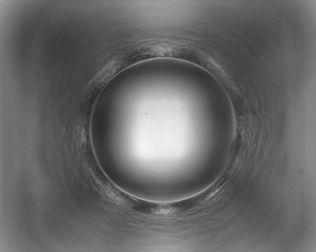 X0000057580313200509161109