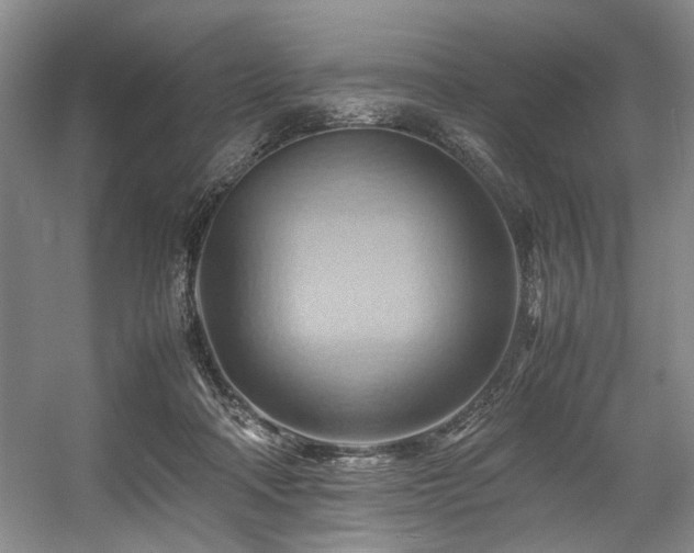 X0000057580314200509161109