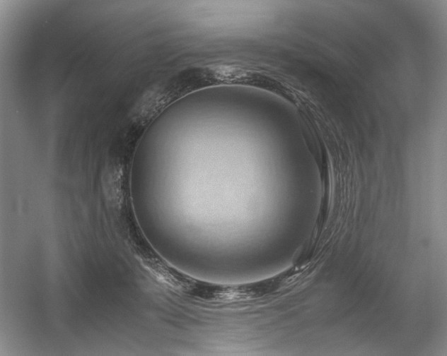 X0000057580319200509161109