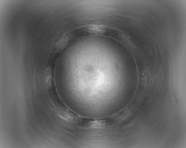 X0000057580320200509161109