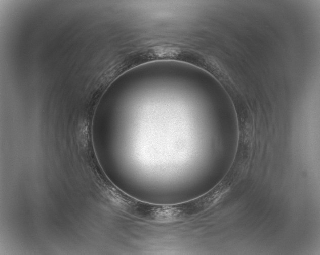X0000057580321200509161109
