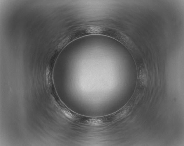 X0000057580322200509161109