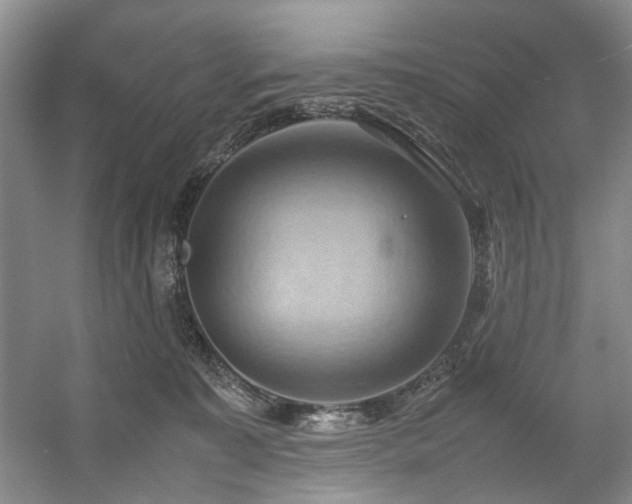 X0000057580323200509161109