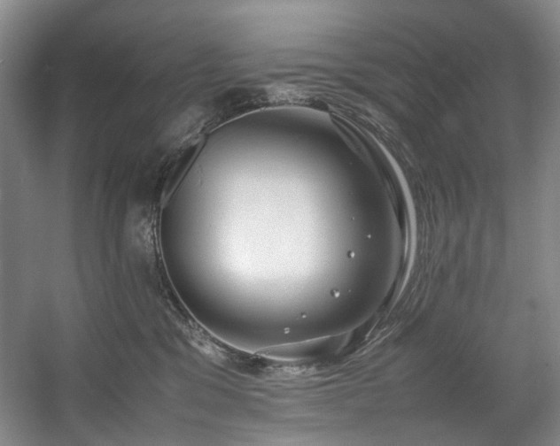 X0000057580329200509161108