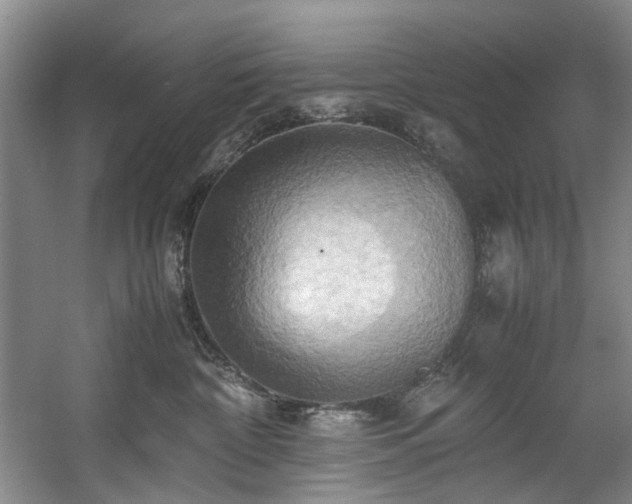 X0000057580332200509161108