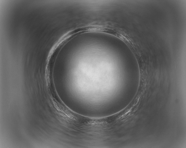 X0000057580343200509161108