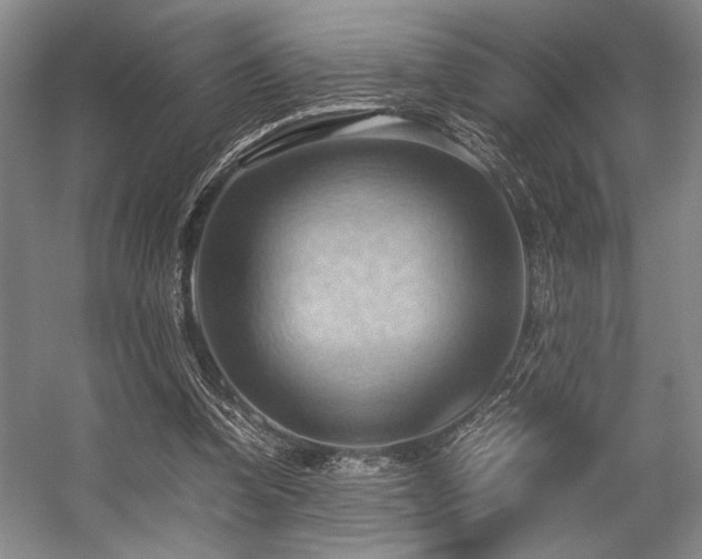 X0000057580346200509161108