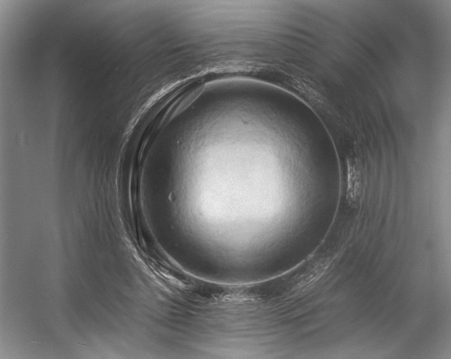 X0000057580348200509161108