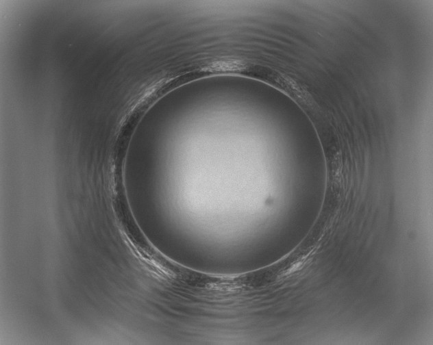 X0000057580351200509161108