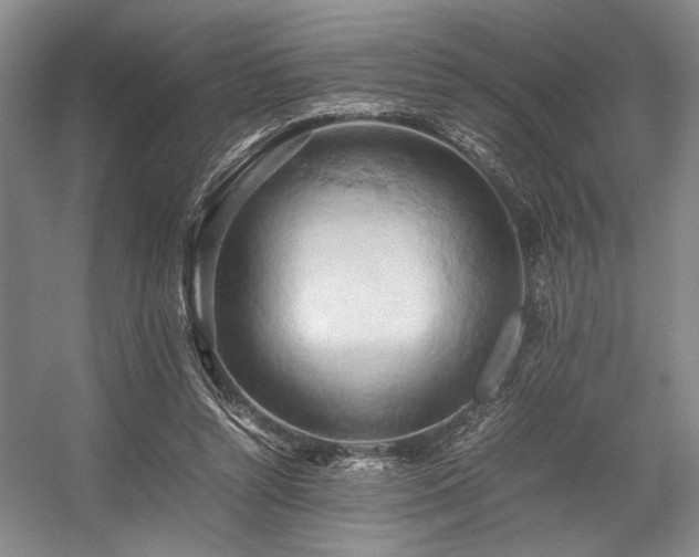 X0000057580352200509161108