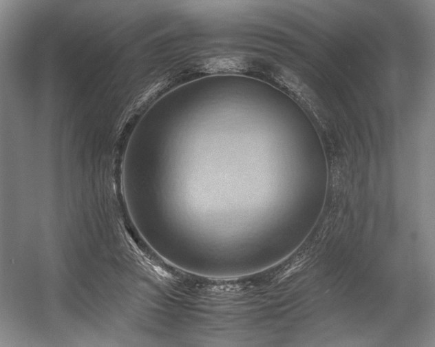 X0000057580353200509161108