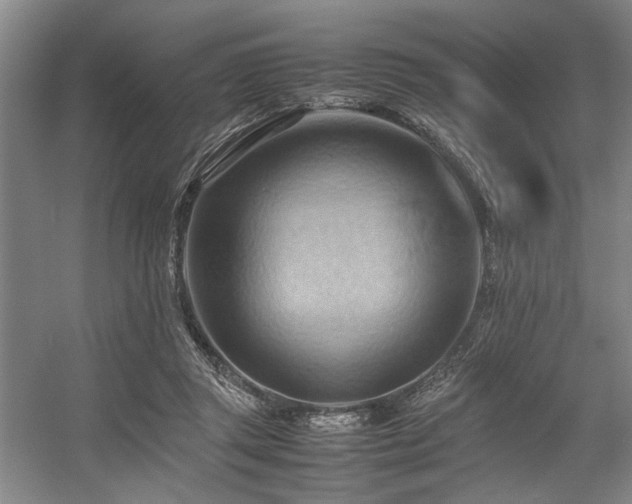 X0000057580357200509161108