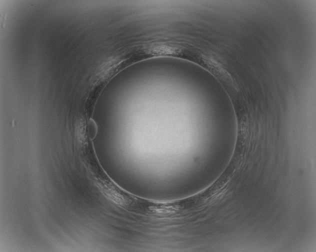 X0000057580359200509161108