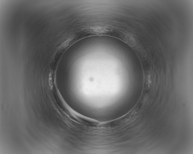 X0000057580360200509161108