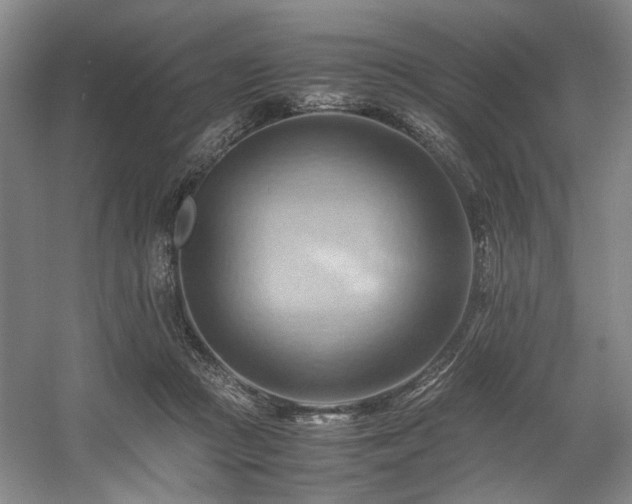 X0000057580361200509161108