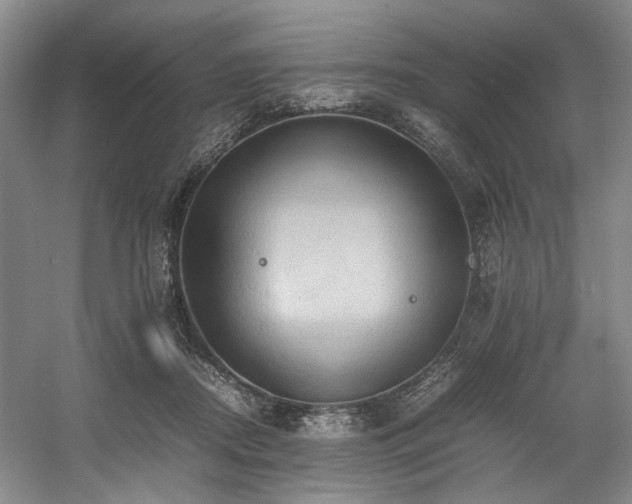 X0000057580362200509161108