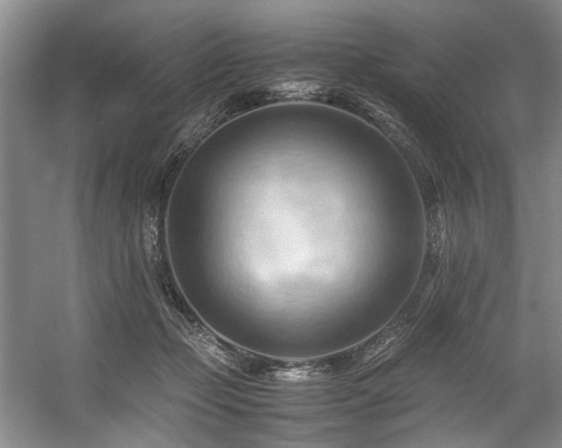 X0000057580365200509161108