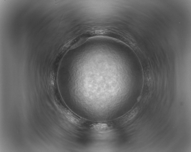 X0000057580374200509161108
