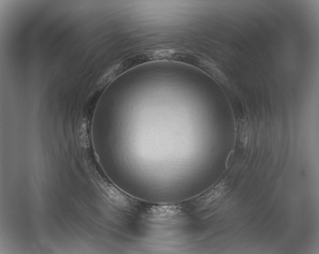 X0000057580378200509161108