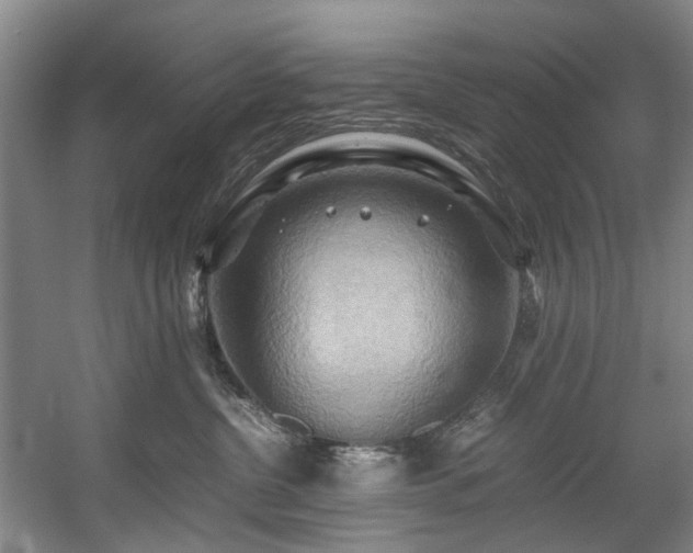 X0000057580380200509161108