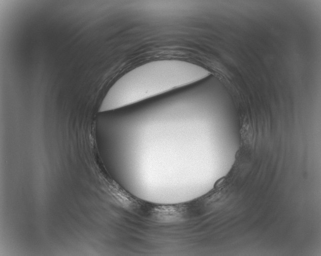 X0000057580381200509161108