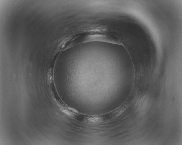 X0000057580383200509161108