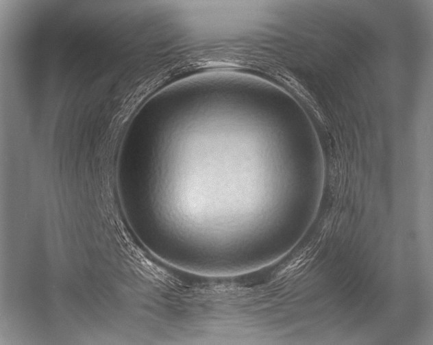 X0000057580385200509161107