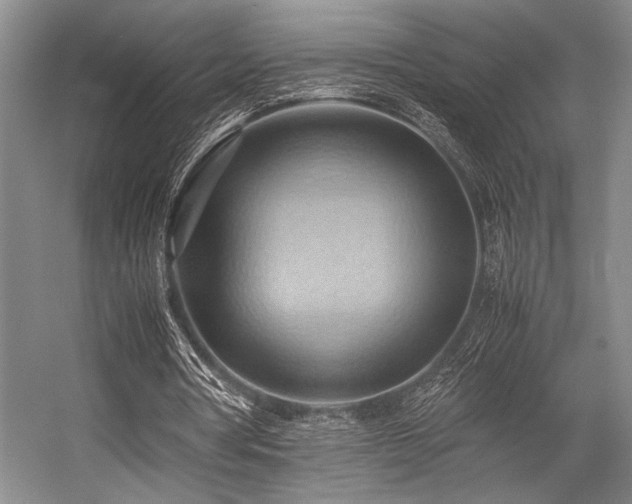X0000057580386200509161107
