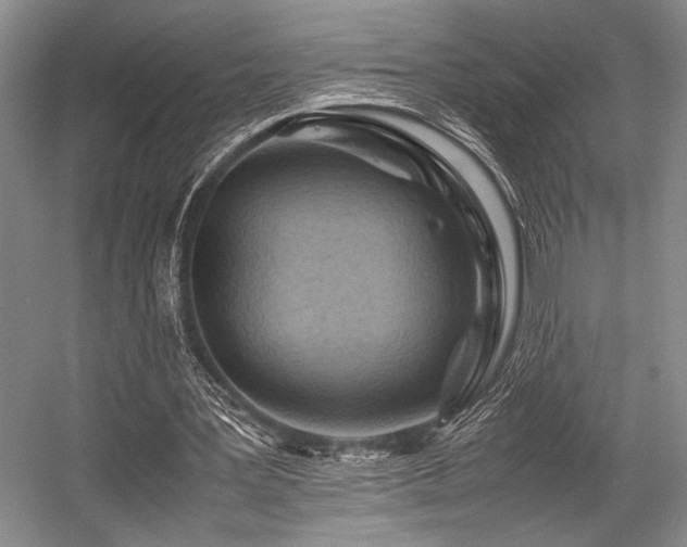 X0000057580387200509161107