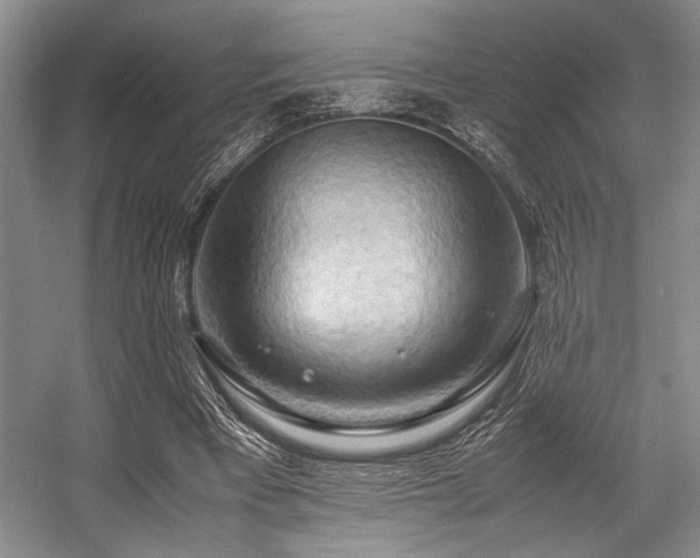 X0000057580393200509161107