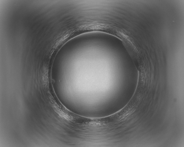 X0000057580394200509161107