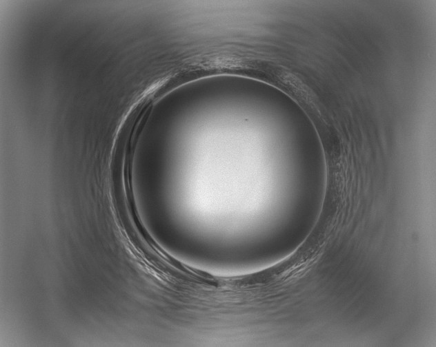 X0000057580395200509161107