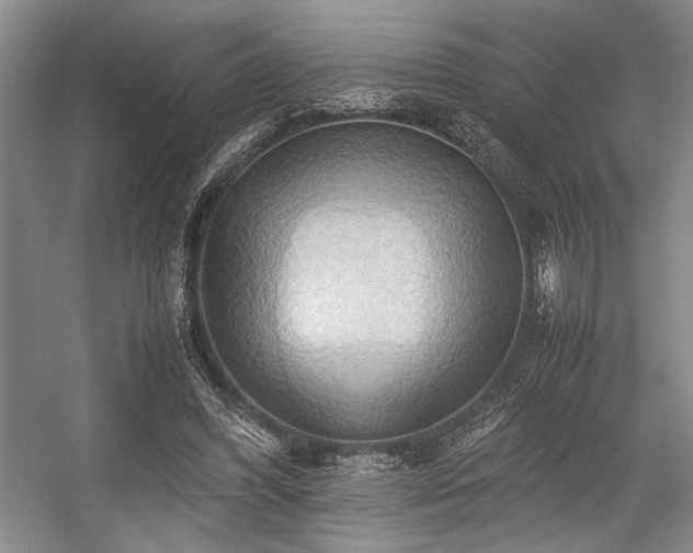 X0000057580396200509161107