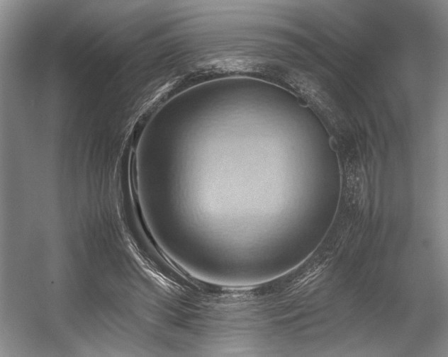 X0000057580398200509161107