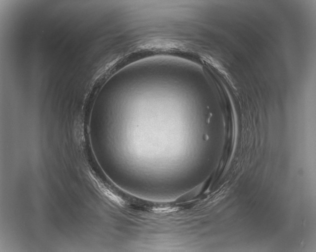 X0000057580399200509161107
