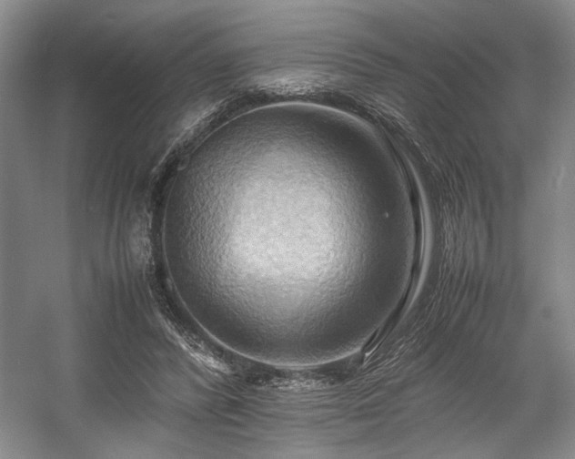 X0000057580400200509161107