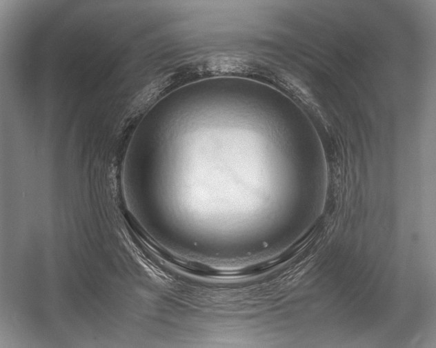 X0000057580401200509161107