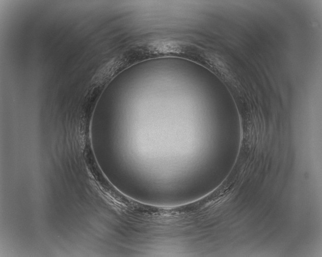 X0000057580402200509161107