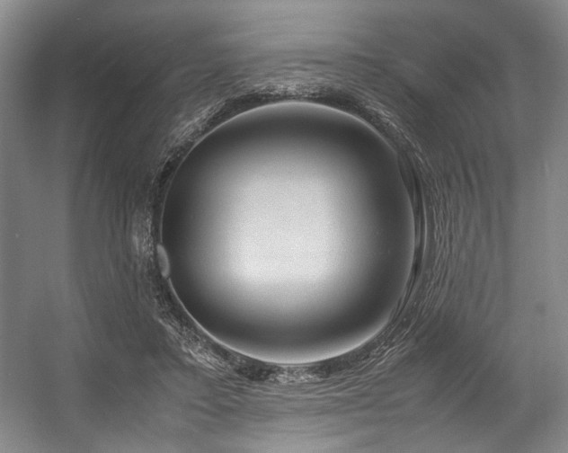 X0000057580403200509161107