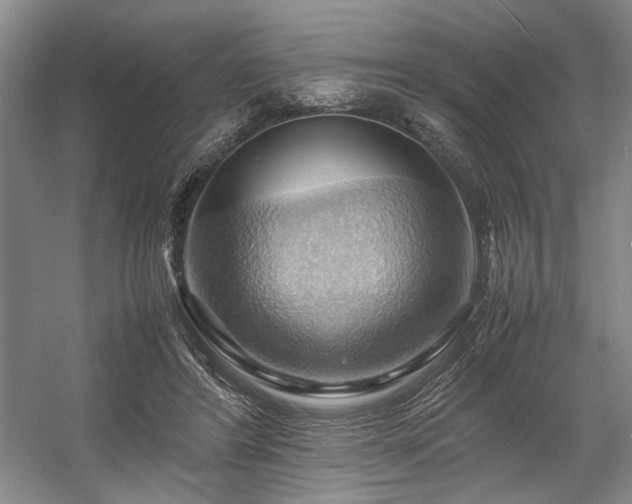 X0000057580404200509161107