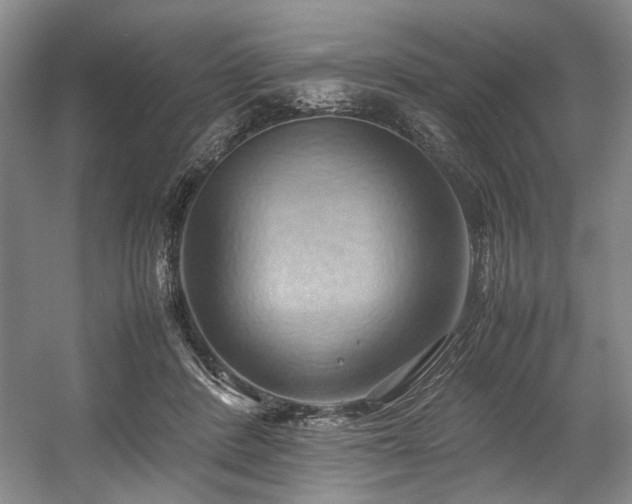 X0000057580408200509161107