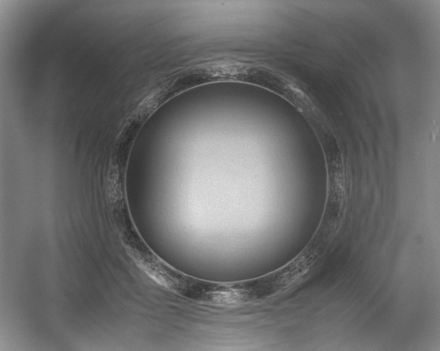 X0000057580411200509161107