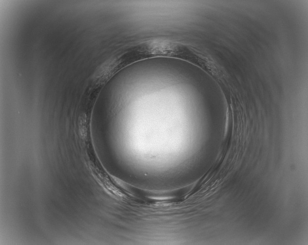 X0000057580413200509161107