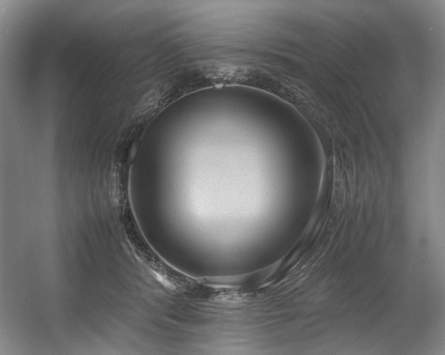 X0000057580416200509161107