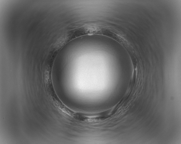 X0000057580417200509161107