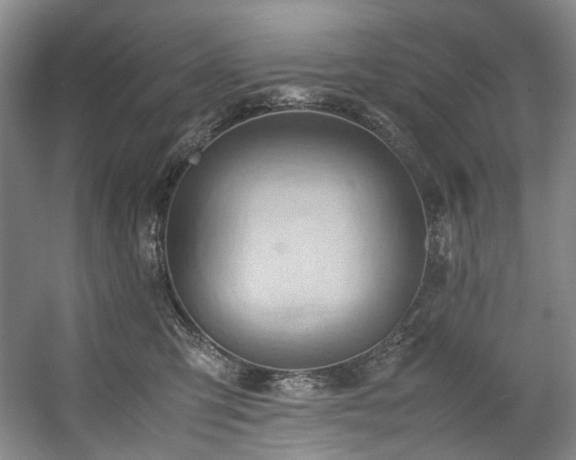 X0000057580423200509161107