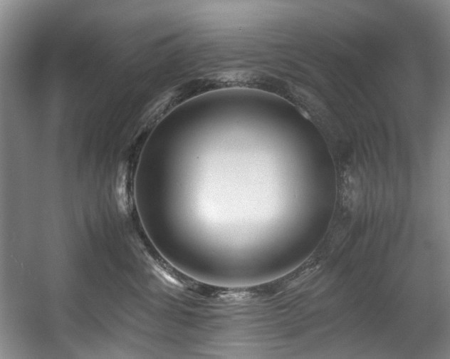 X0000057580428200509161107