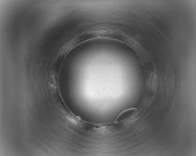 X0000057580430200509161107