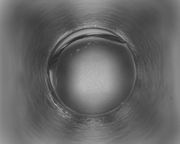 X0000057580434200509161106