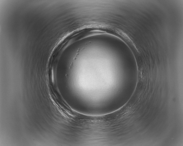 X0000057580436200509161106